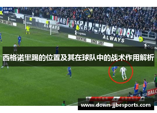 西格诺里踢的位置及其在球队中的战术作用解析 西格诺里踢的位置及其在球队中的战术作用解析