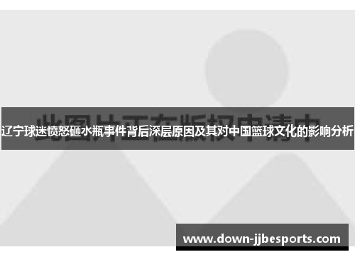 辽宁球迷愤怒砸水瓶事件背后深层原因及其对中国篮球文化的影响分析