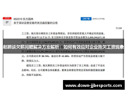 赵鹏谈欠薪问题解决方案解析:如何有效应对企业拖欠工资现象 赵鹏谈欠薪问题解决方案解析:如何有效应对企业拖欠工资现象