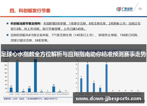足球心水指数全方位解析与应用指南助你精准预测赛事走势